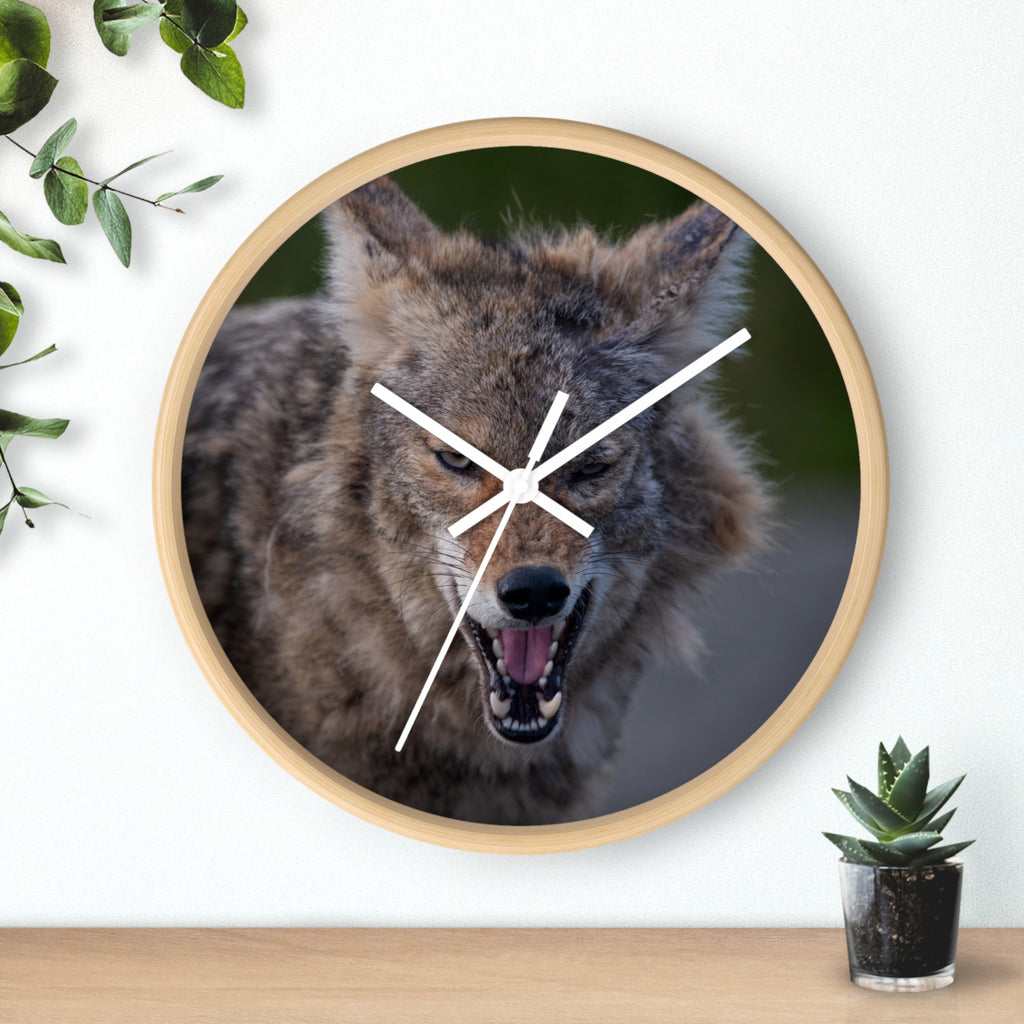 Angry Coyote Wall Clock — Fierce Wildlife Decor