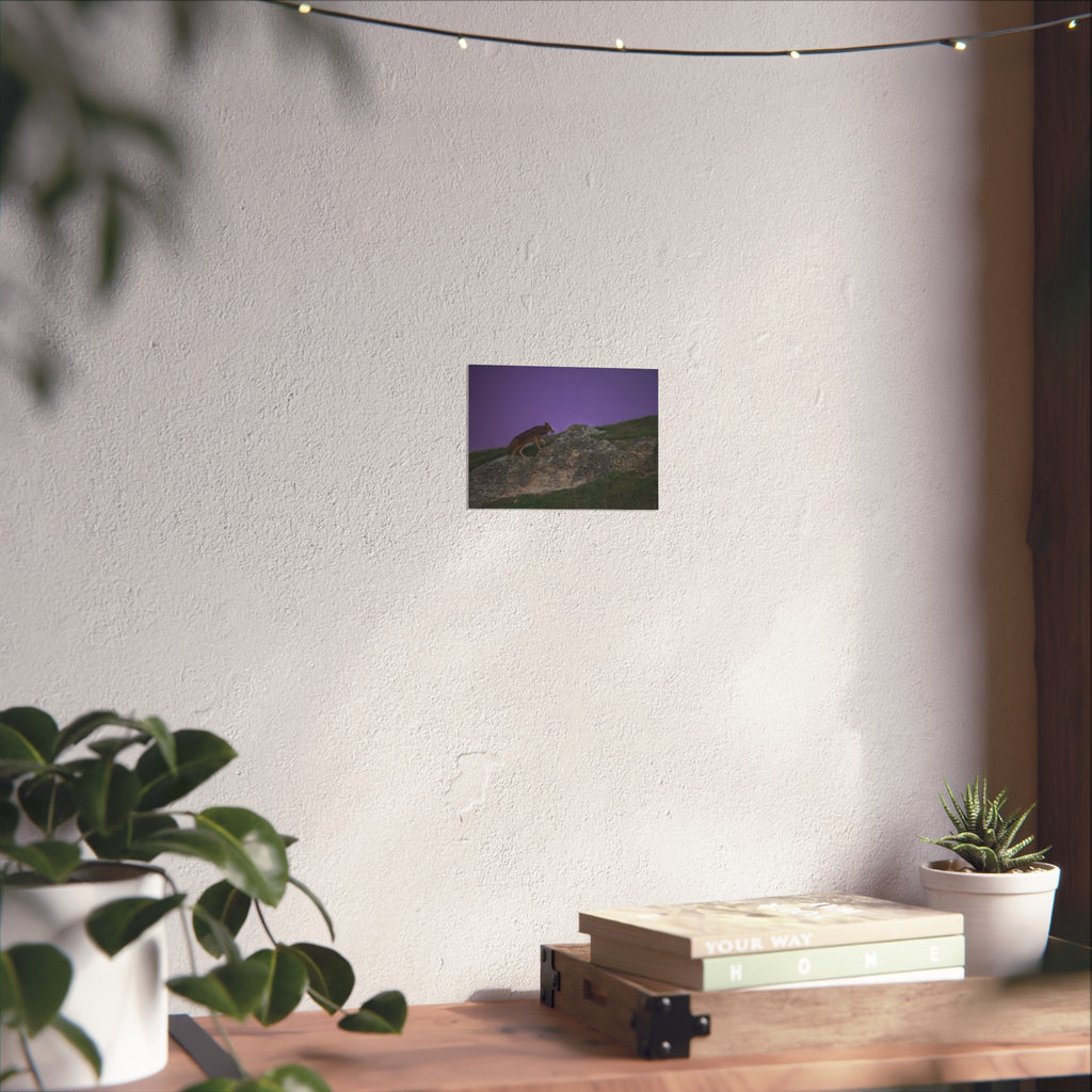 Coyote at Dusk Fine Art Poster — Purple Sky Wildlife Print