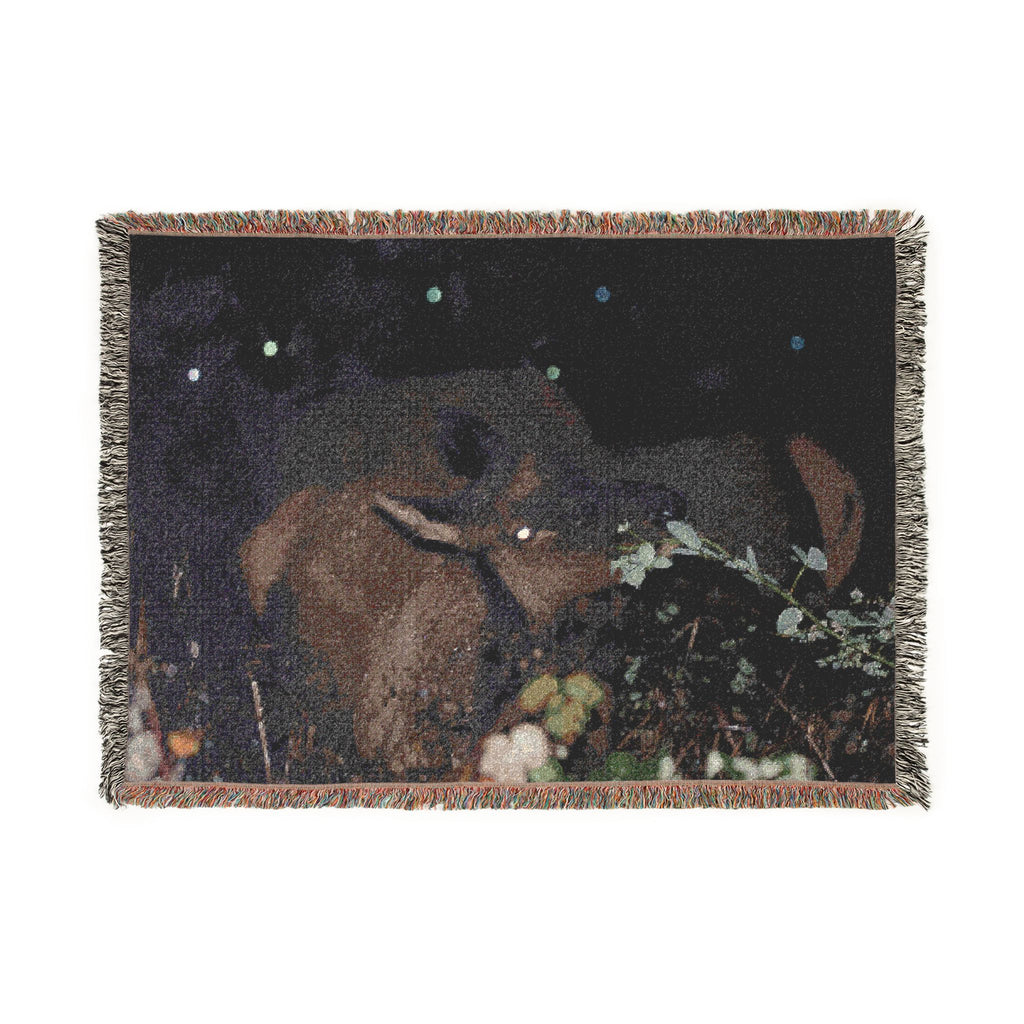 Elk Grazing at Night
