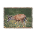 Young Buck Woven Blanket