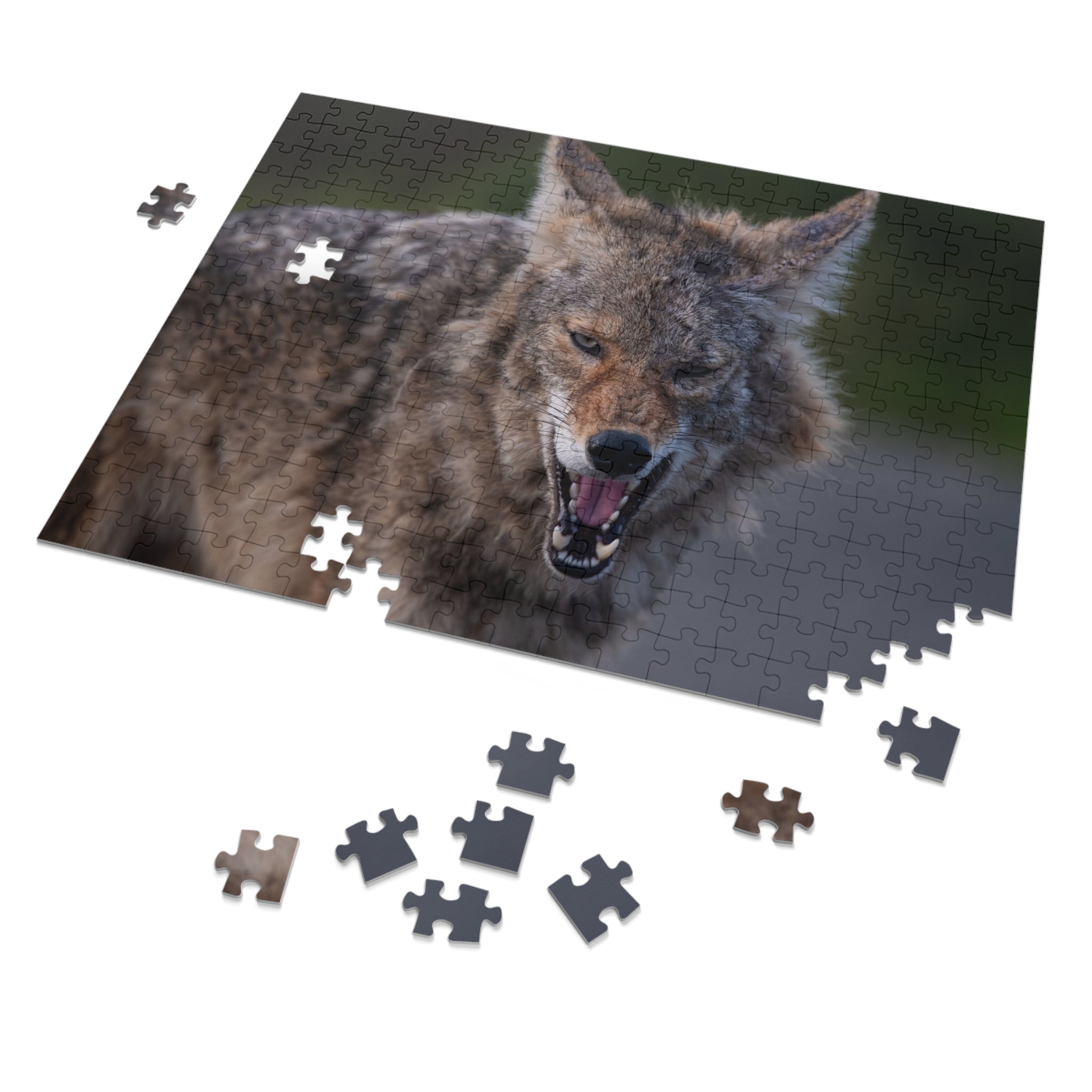 Coyote Jigsaw Puzzle — 252-Piece Wildlife Puzzle with Tin