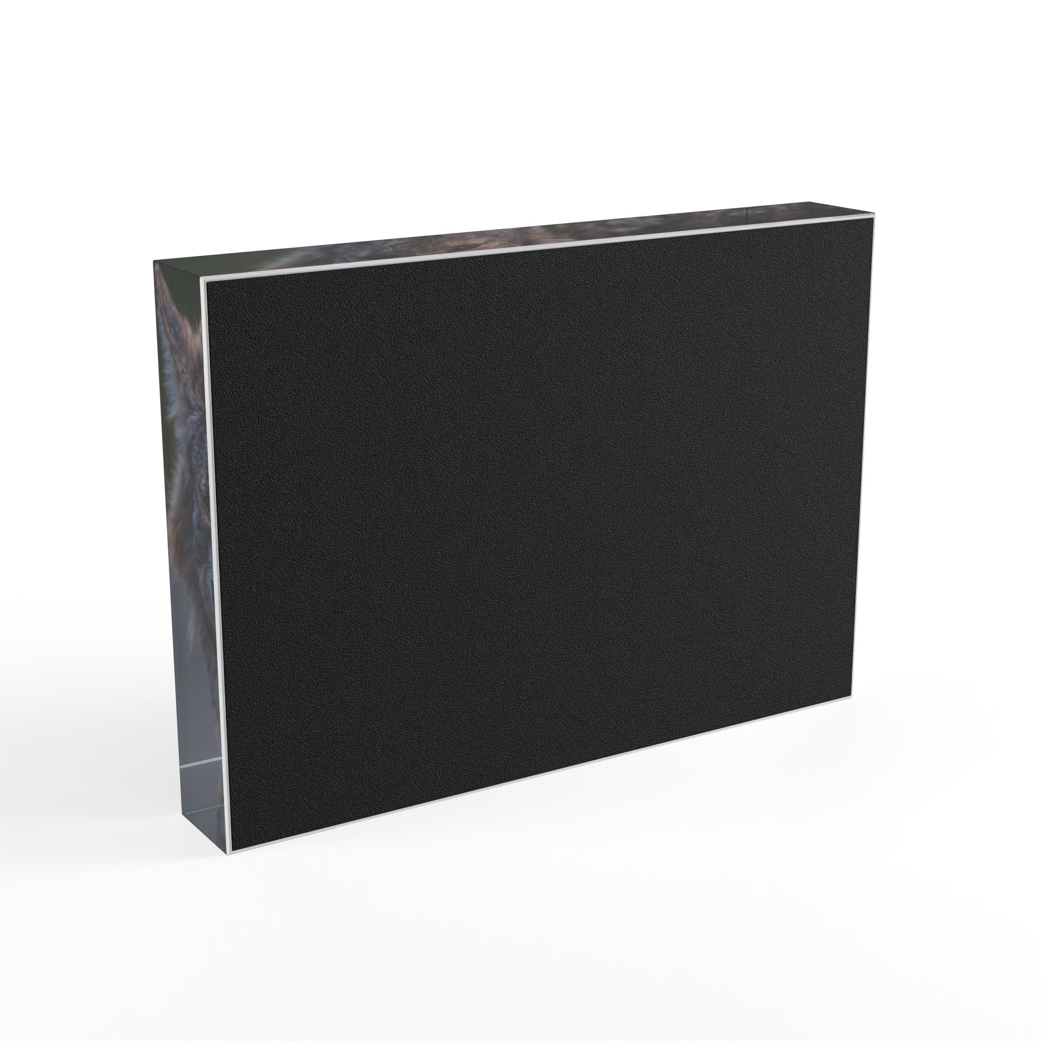 Coyote Photo Block – Wildlife Display Photo Block
