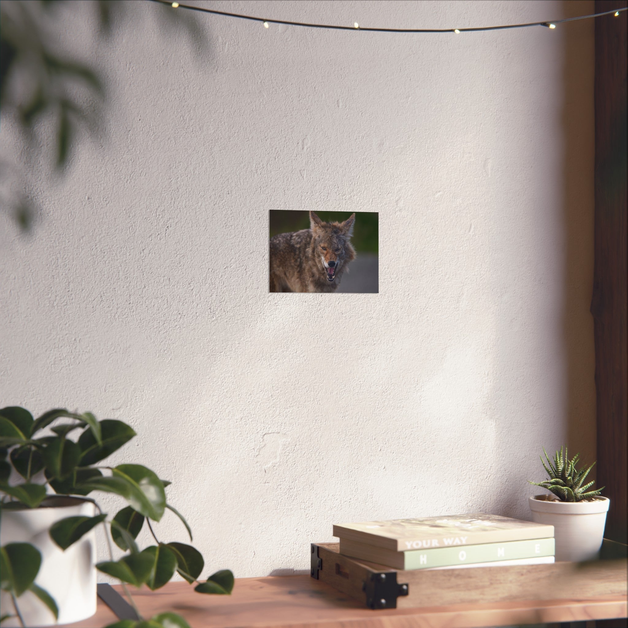 Coyote Fine Art Print — Wild Canine Photography Print