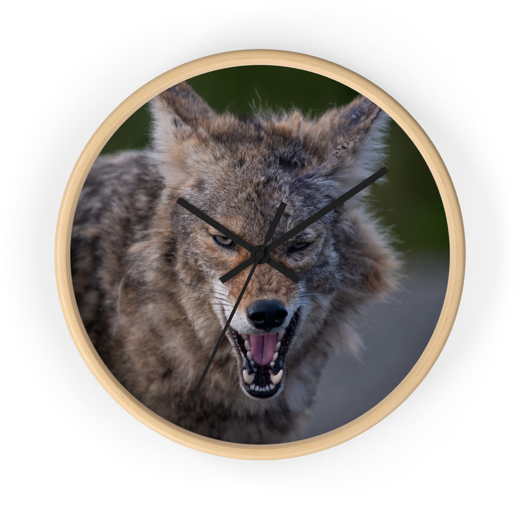 Angry Coyote Wall Clock — Fierce Wildlife Decor