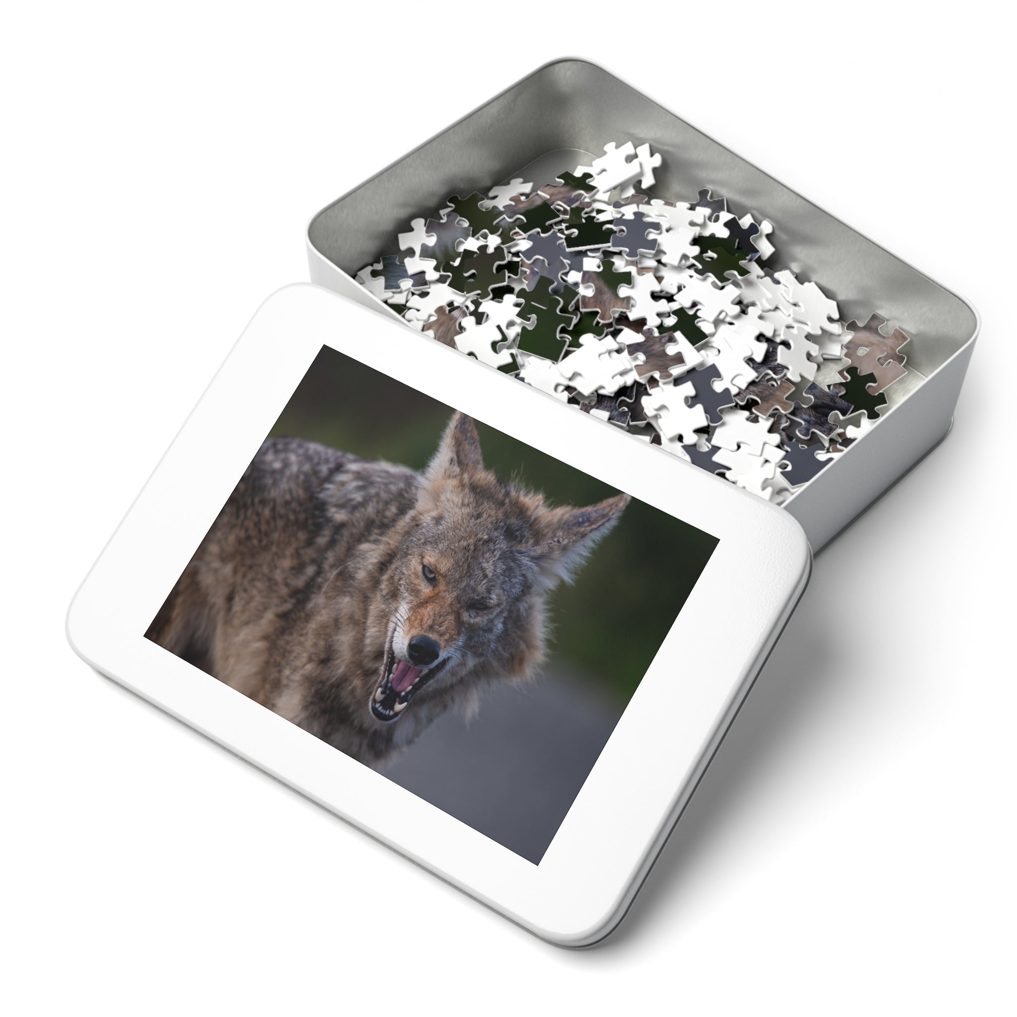 Coyote Jigsaw Puzzle — 252-Piece Wildlife Puzzle with Tin