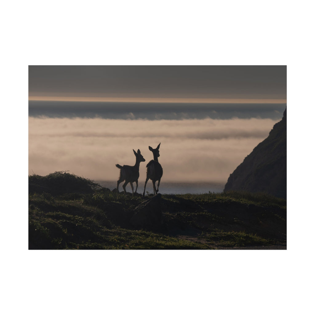Deer Fine Art Poster — Coastal Sunset Wildlife Wall Art