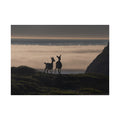 Deer Fine Art Poster — Coastal Sunset Wildlife Wall Art