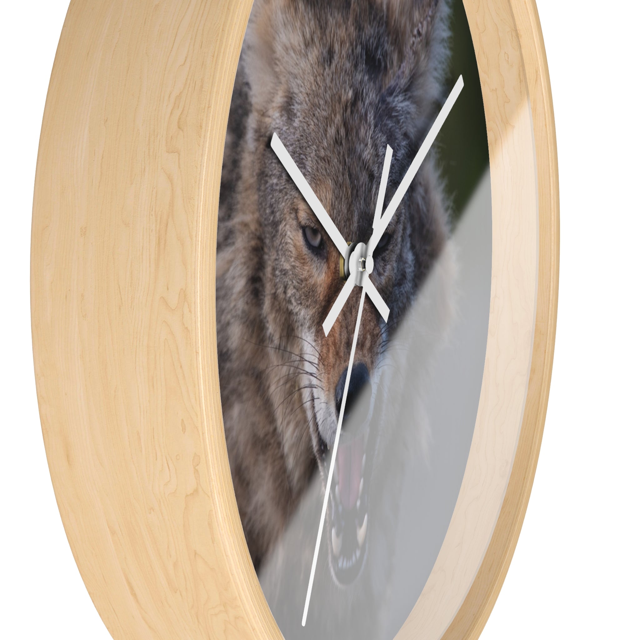 Angry Coyote Wall Clock — Fierce Wildlife Decor