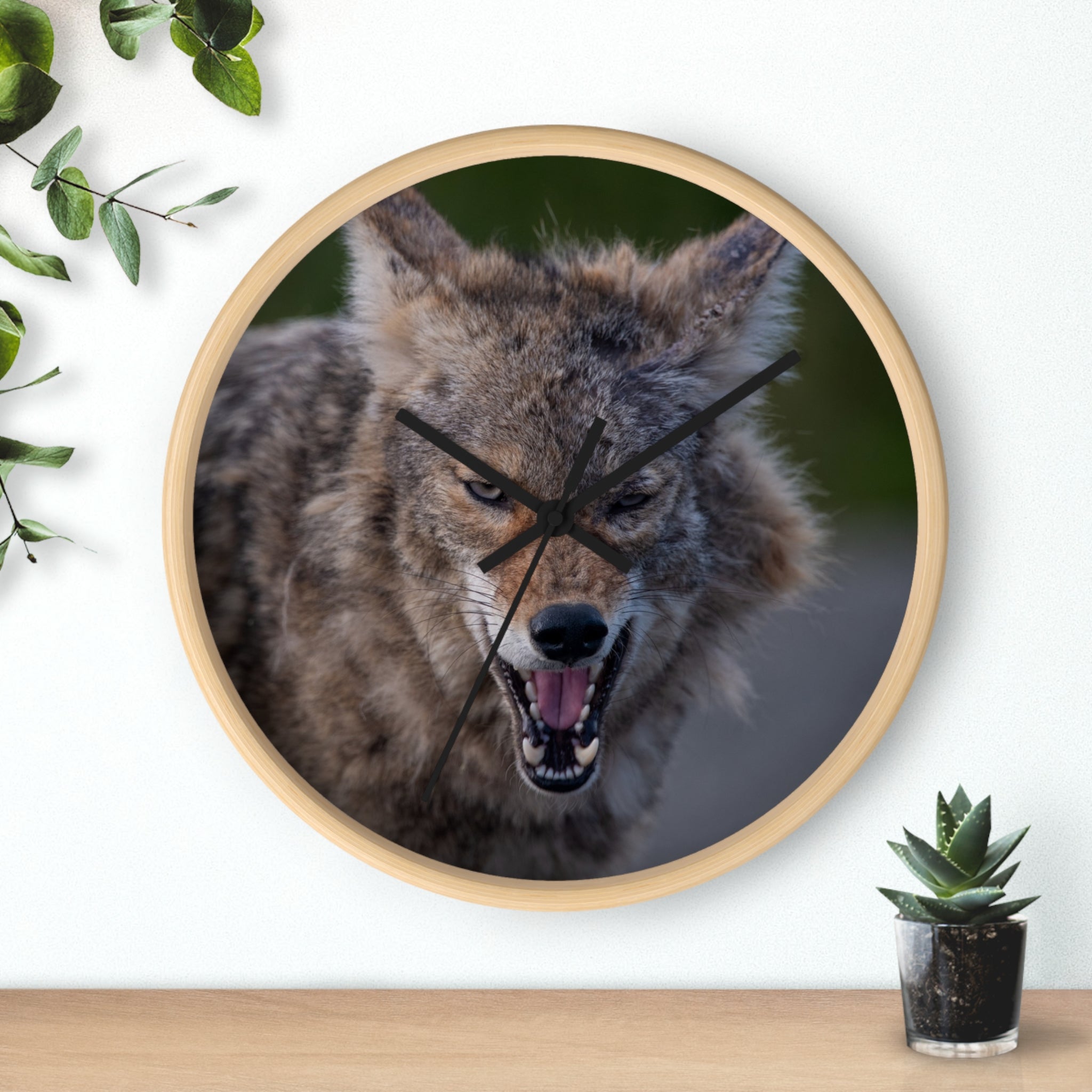 Angry Coyote Wall Clock — Fierce Wildlife Decor
