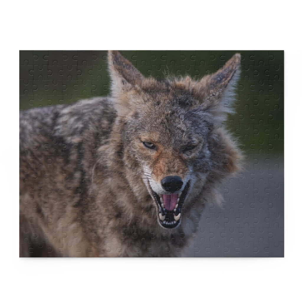 Coyote Jigsaw Puzzle — 120/252/500-Piece Wildlife Puzzle