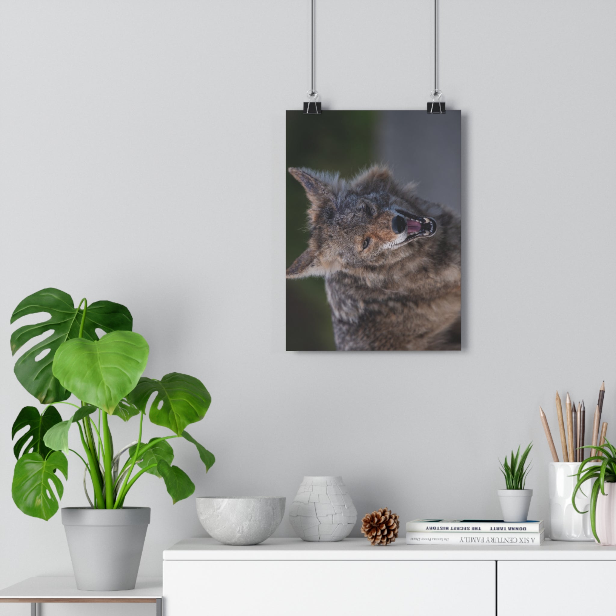 Coyote Photography Giclée Art Print — Wild Canine Wall Decor