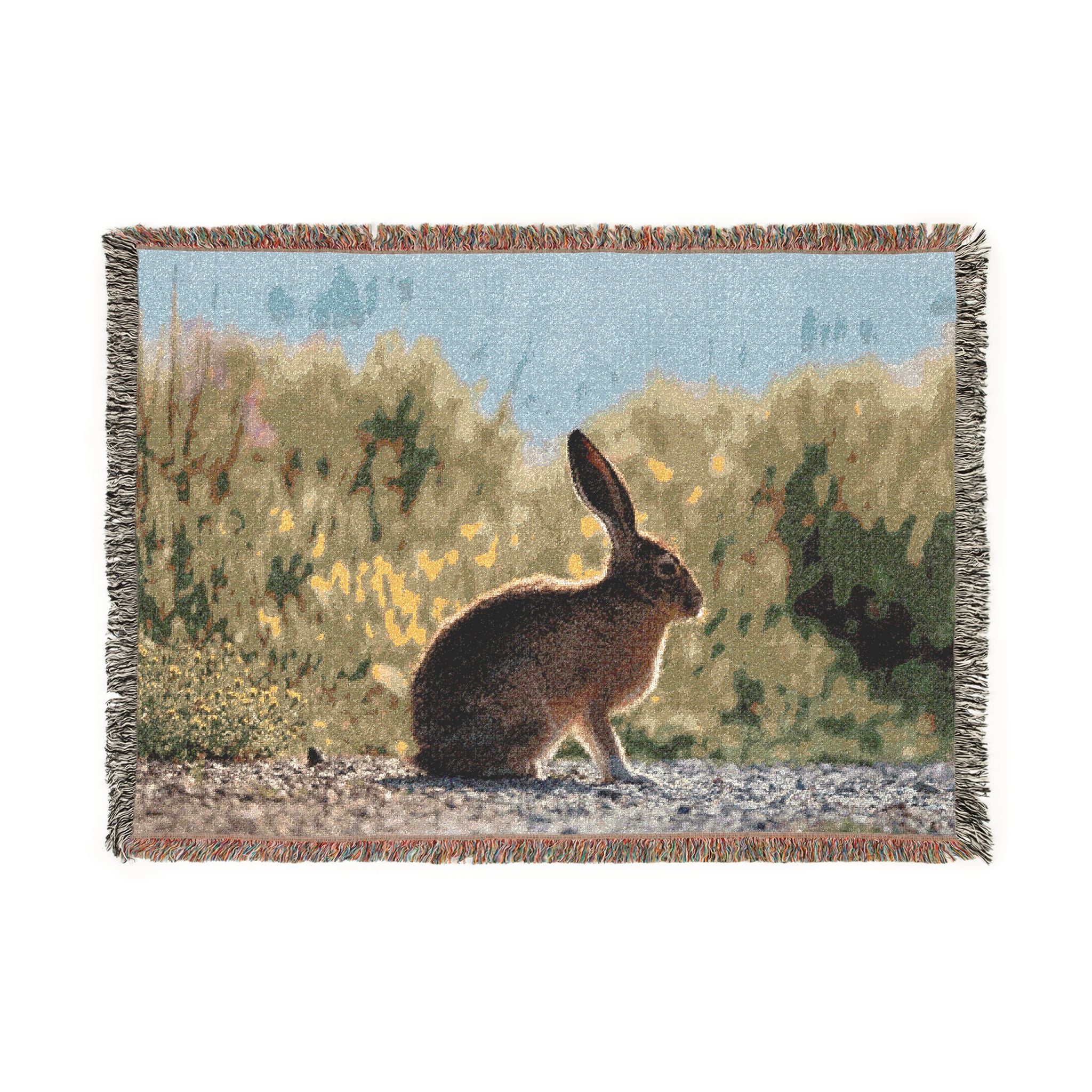 Jackrabbit
