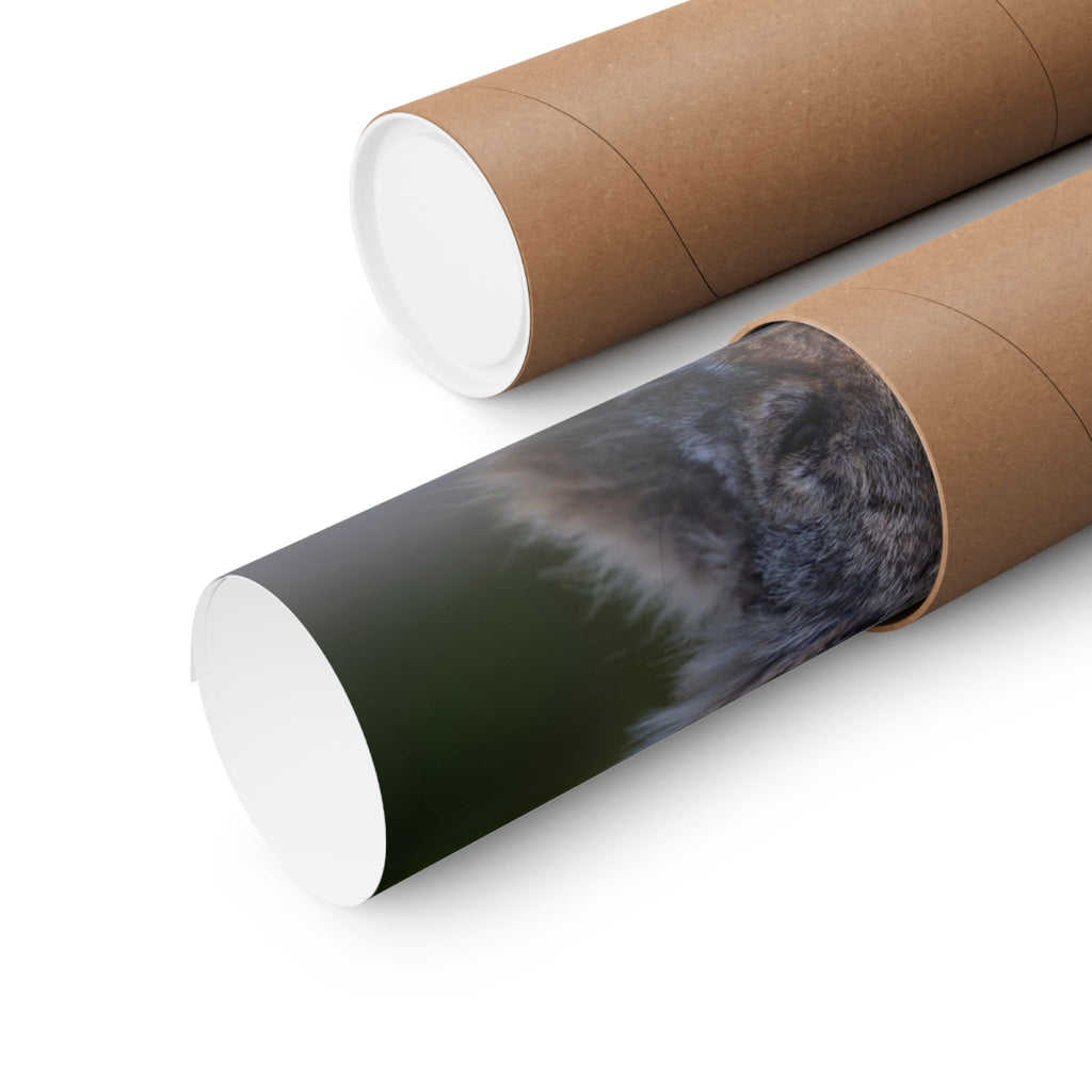 Matte Horizontal Coyote Poster