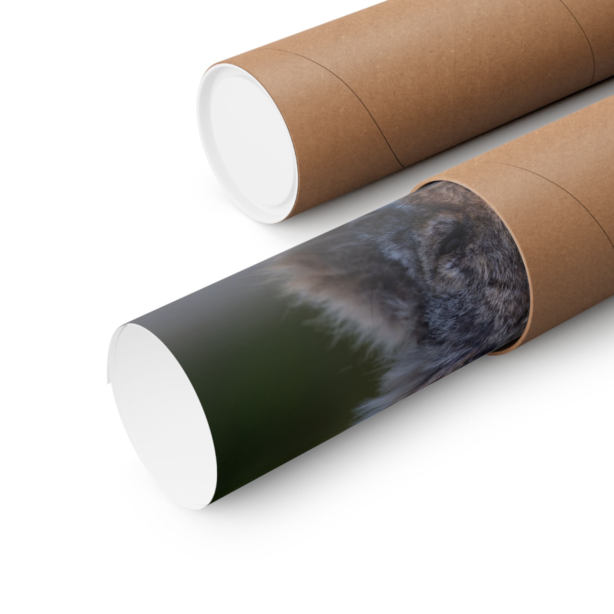 Matte Horizontal Coyote Poster